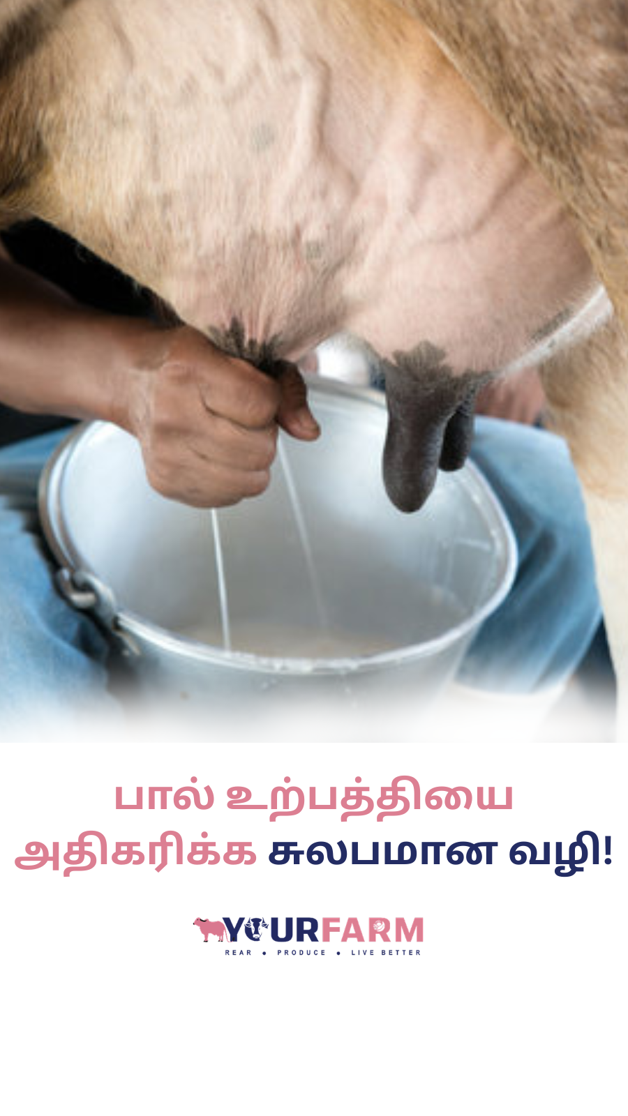 YourFarm AgriTech Facebook ad