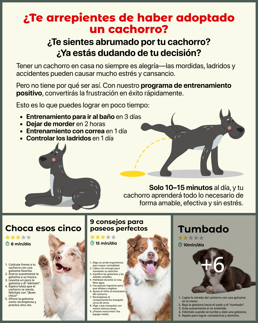 Dogo Facebook ad