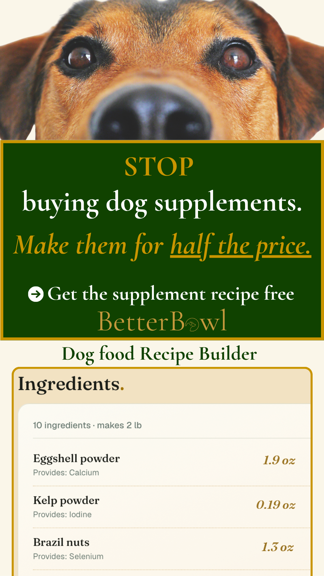 BetterBowl Facebook ad: Make at Home Dog Supplement