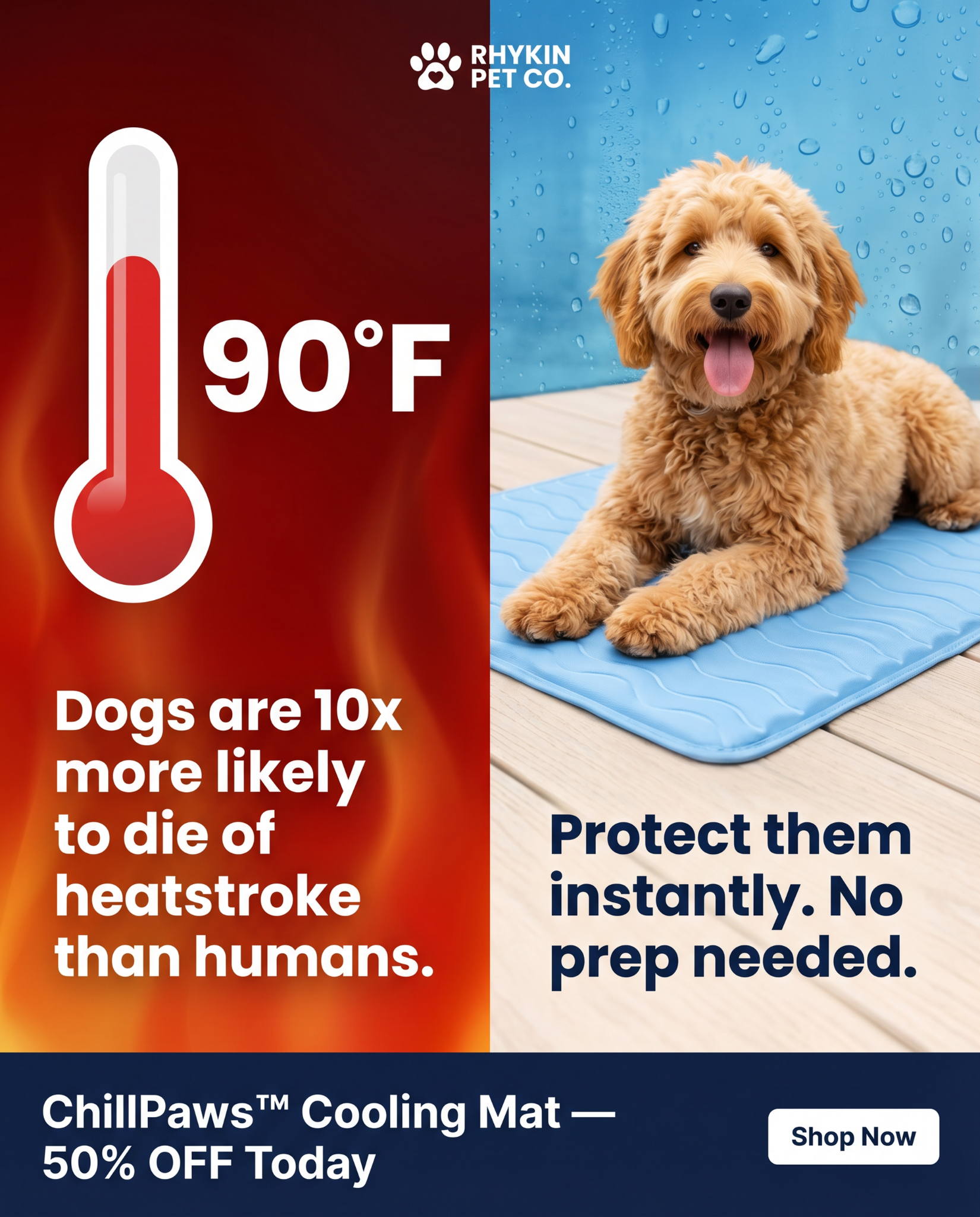 Rhykin Pet Co Facebook ad