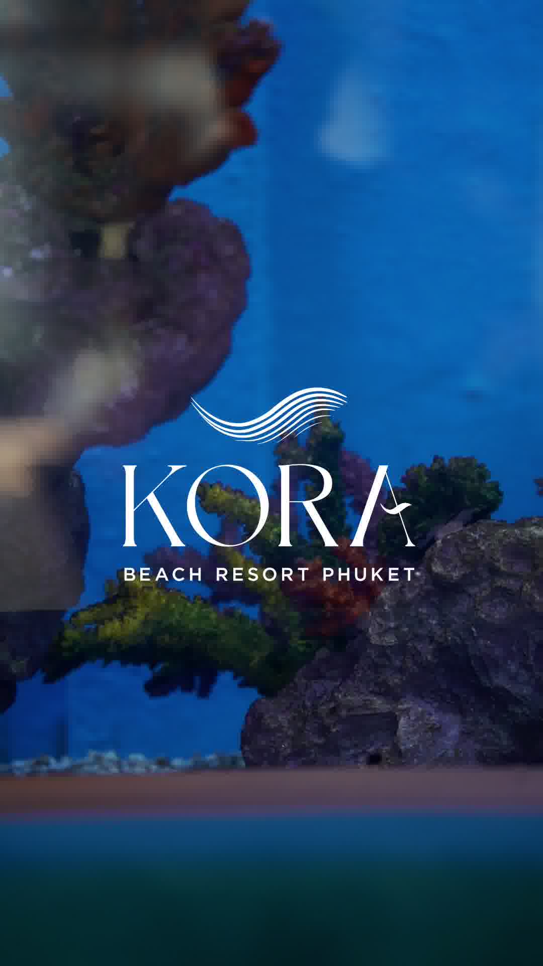 Kora Beach Resort Phuket Facebook ad: Imagine dining in an underwater dream, surrounded byโฆ