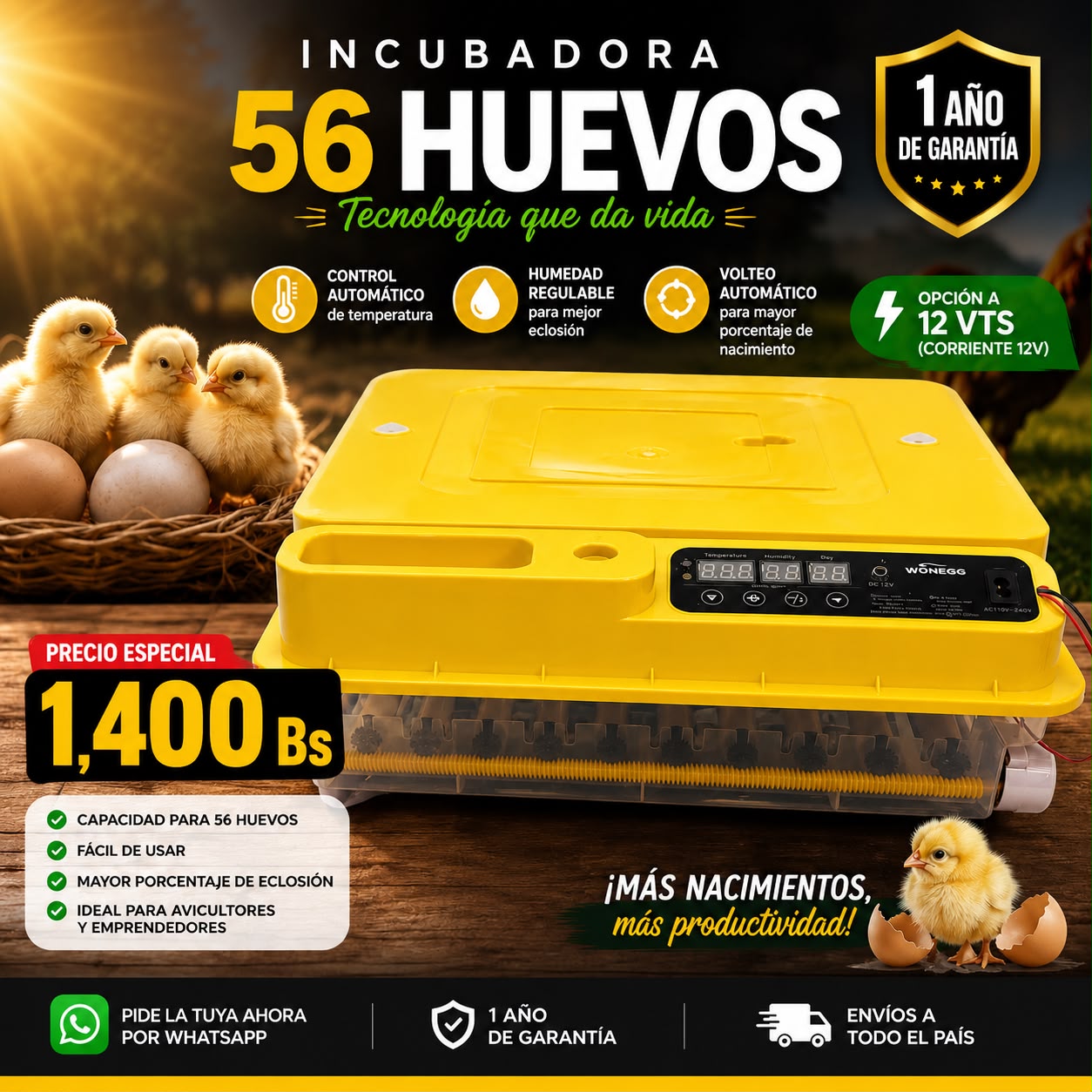 Avruyver Facebook ad: ¡INCUBADORA AUTOMÁTICA DE 56 HUEVOS!