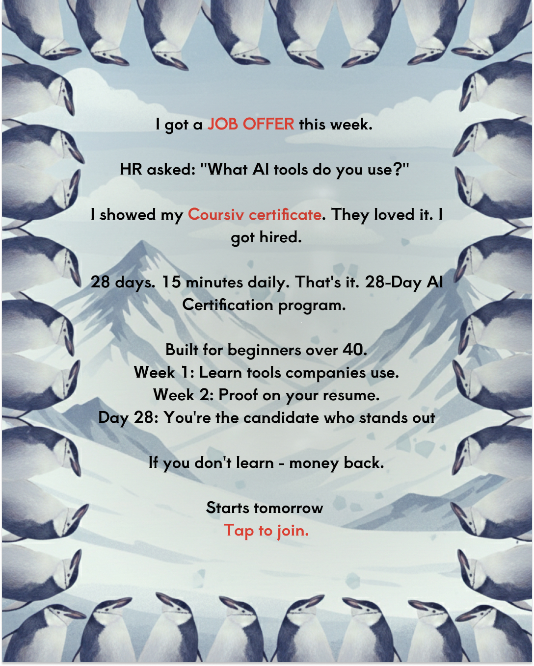 Vibest AI Facebook ad