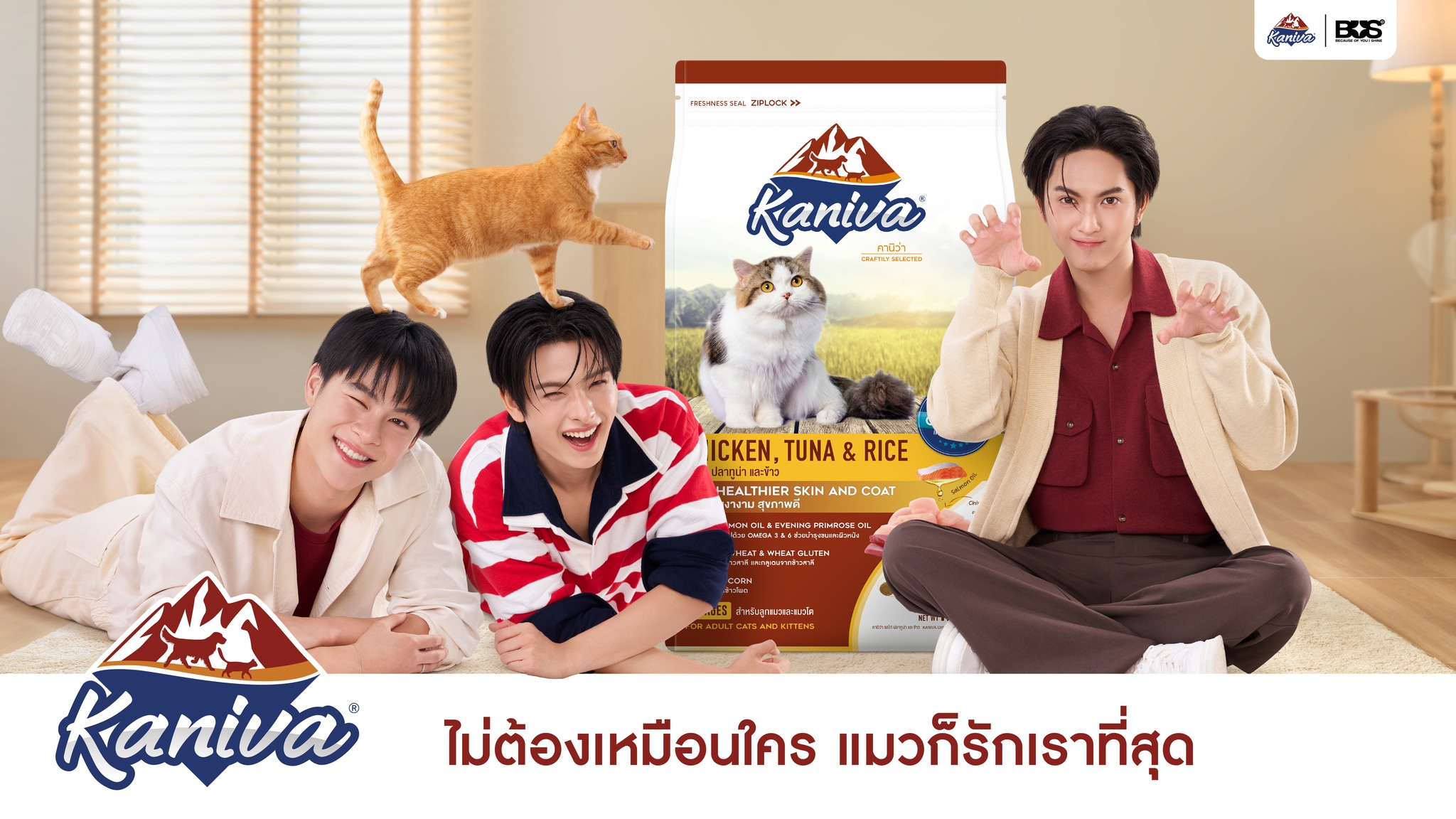 Kaniva Pet Food Facebook ad: ต่อให้น่ารักแค่ไหน… ก็สู้ความอร่อยของอาหารแมวคานิว่า…