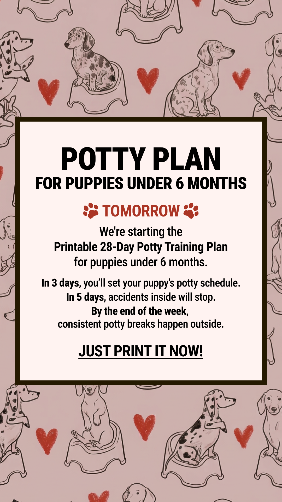 Woofz - Puppy Training Facebook ad