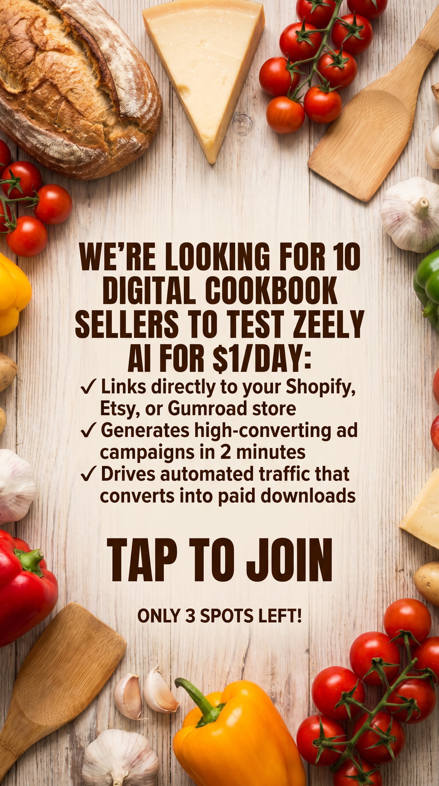 Zeely: Grow Sales with AI Facebook ad
