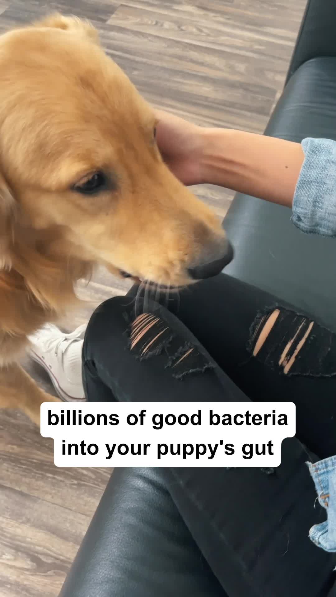 PetJoy Facebook ad: Free 30 Day Sample!