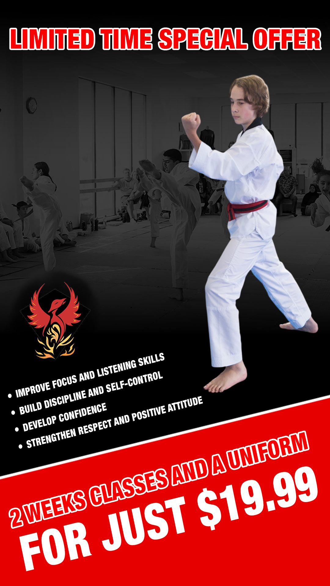 Phoenix Taekwondo  Martial Arts Academy Facebook ad