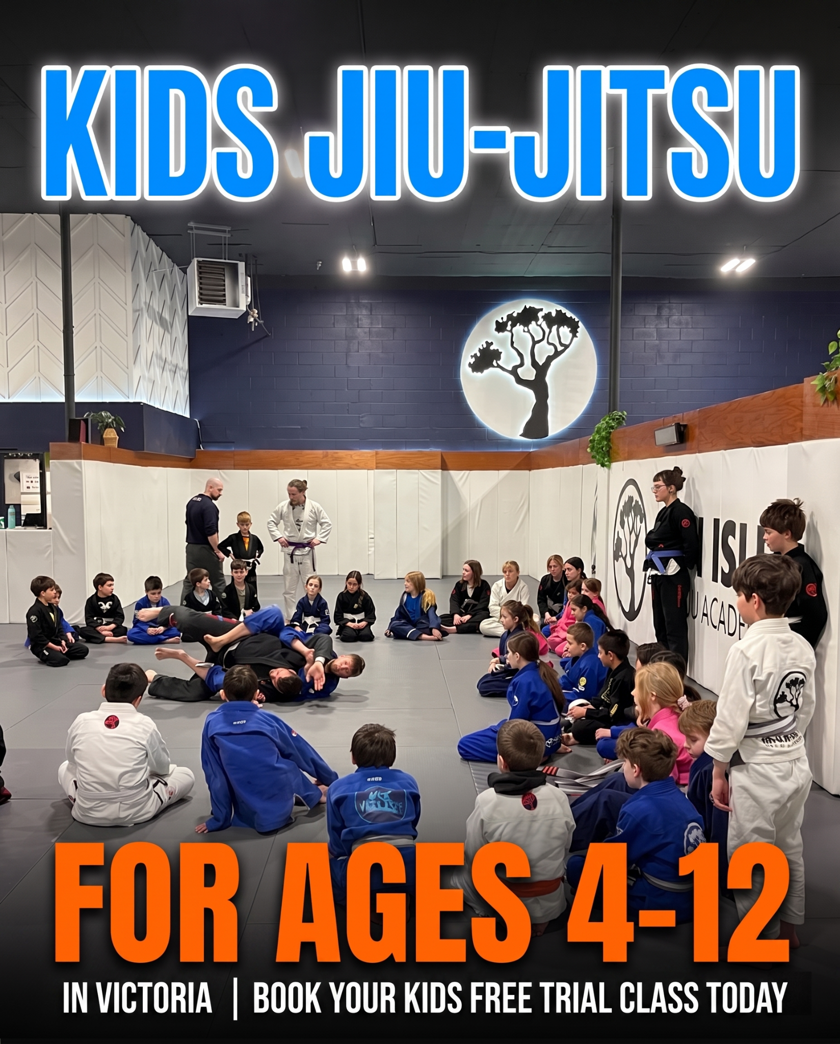 Van Isle Jiu Jitsu Academy Facebook ad