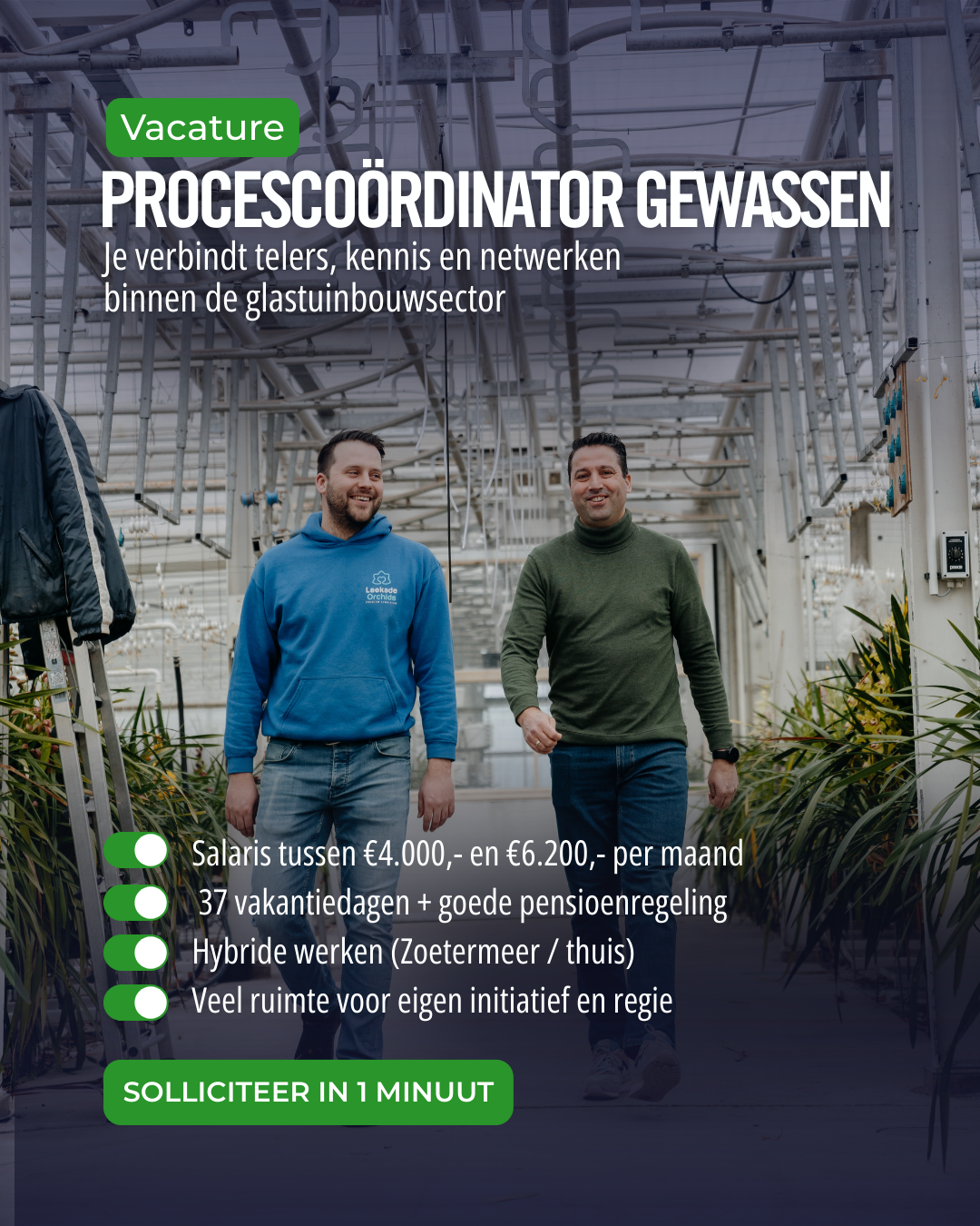 Glastuinbouw Nederland Facebook ad: Solliciteer binnen 1 minuut