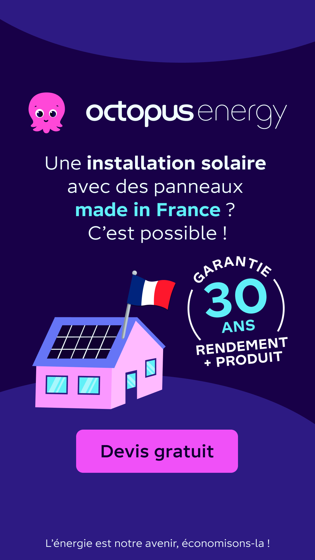 Octopus Energy Facebook ad