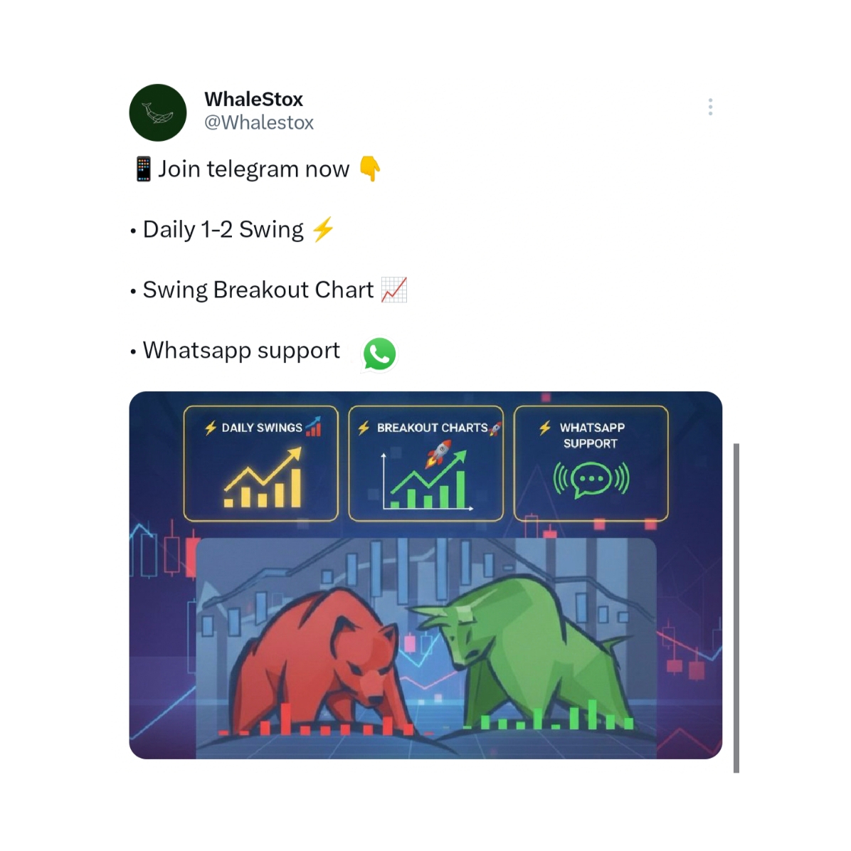 The Whalestox Facebook ad: join now