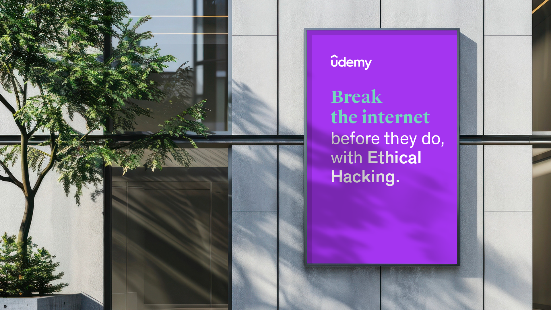 Udemy Facebook ad