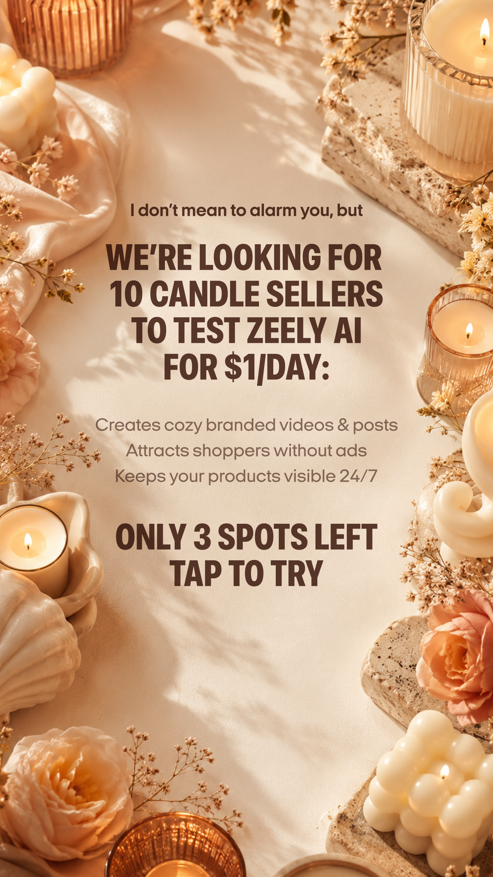 Zeely Facebook ad