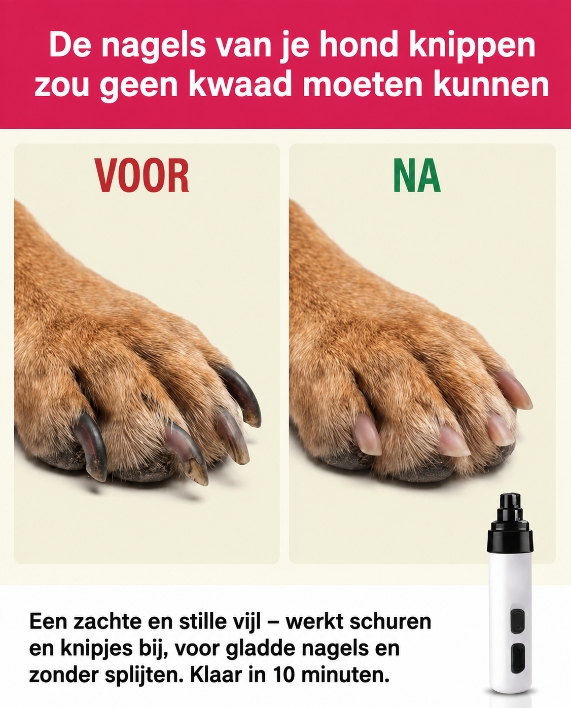 Elvori Facebook ad: 50% Korting | Alleen vandaag