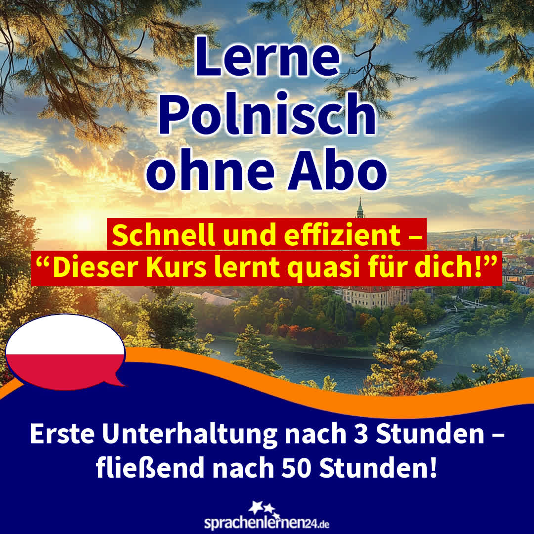Polyglott in 17 Minuten pro Tag Facebook ad