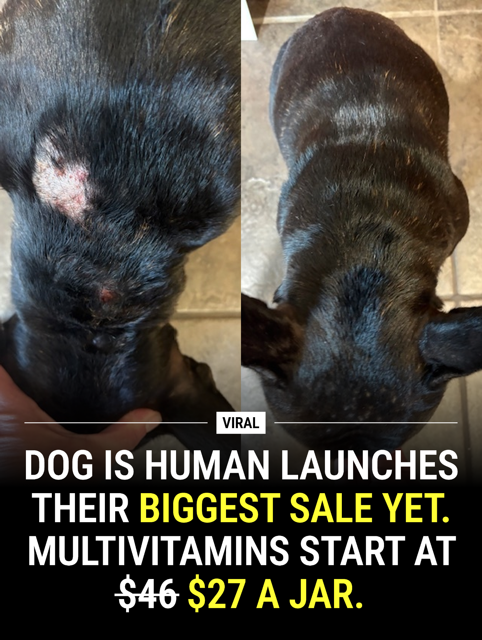 Dog is Human Facebook ad