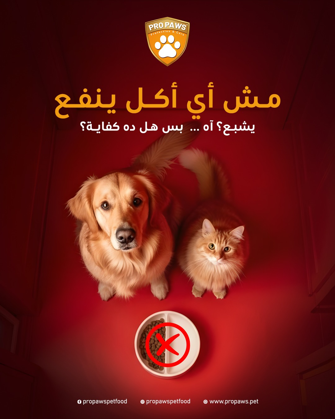 Propaws pet food Facebook ad: أليفك محتاج أكتر من أكل يشبع…