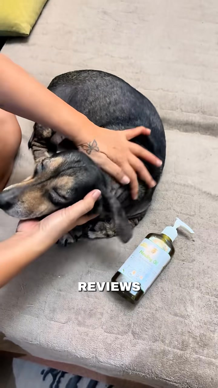 WOOF Premium Organic Dog Shampoo and Soap Facebook ad: Organic pet products for cats & dogs