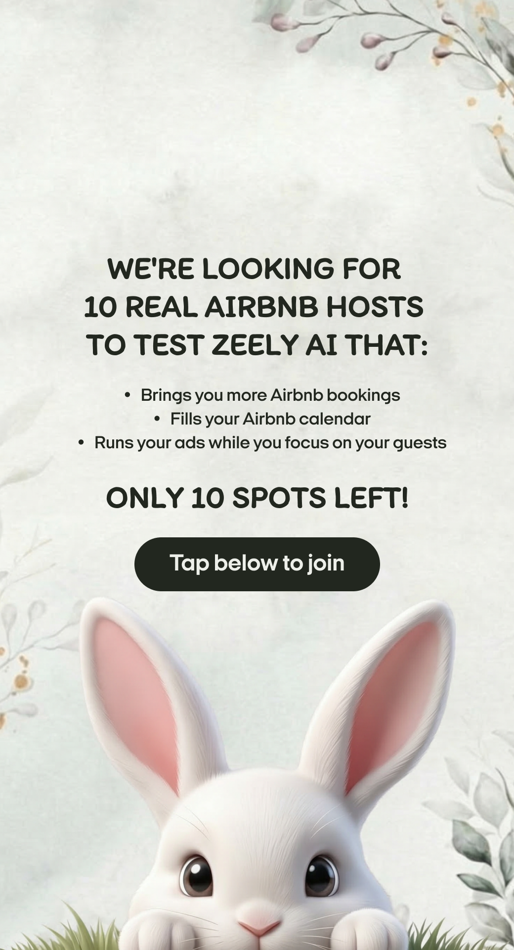 Zeely Facebook ad