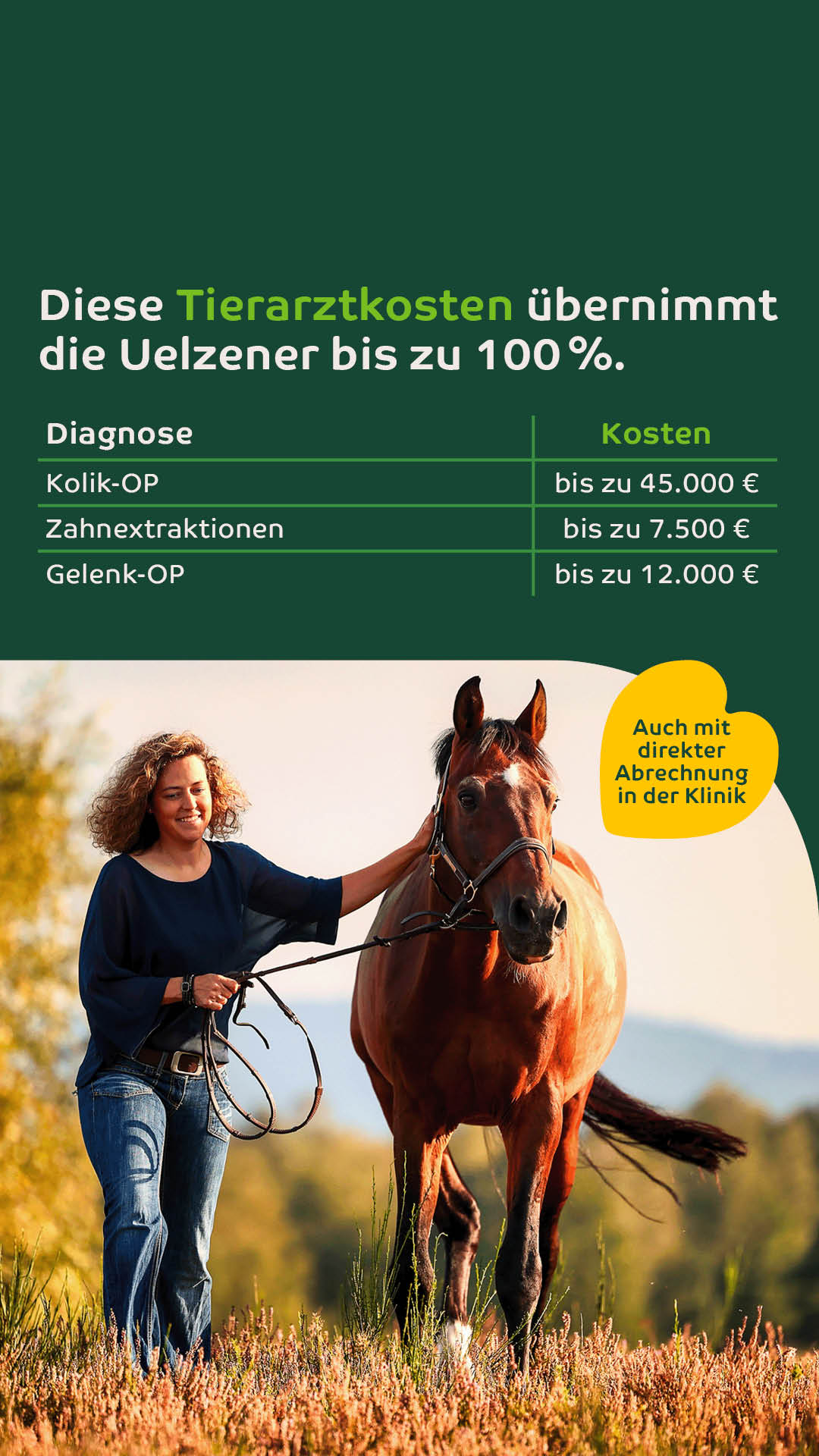Uelzener Versicherungen Facebook ad