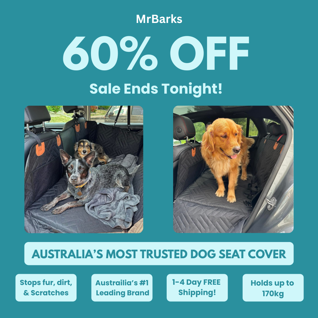 MrBarks.Shop Facebook ad
