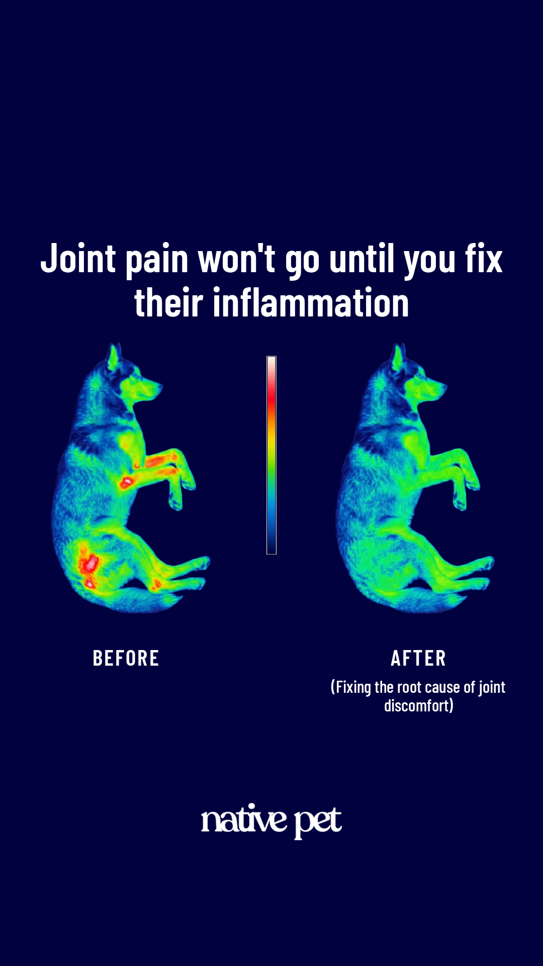 k9healthdaily Facebook ad from Mar 19, 2026