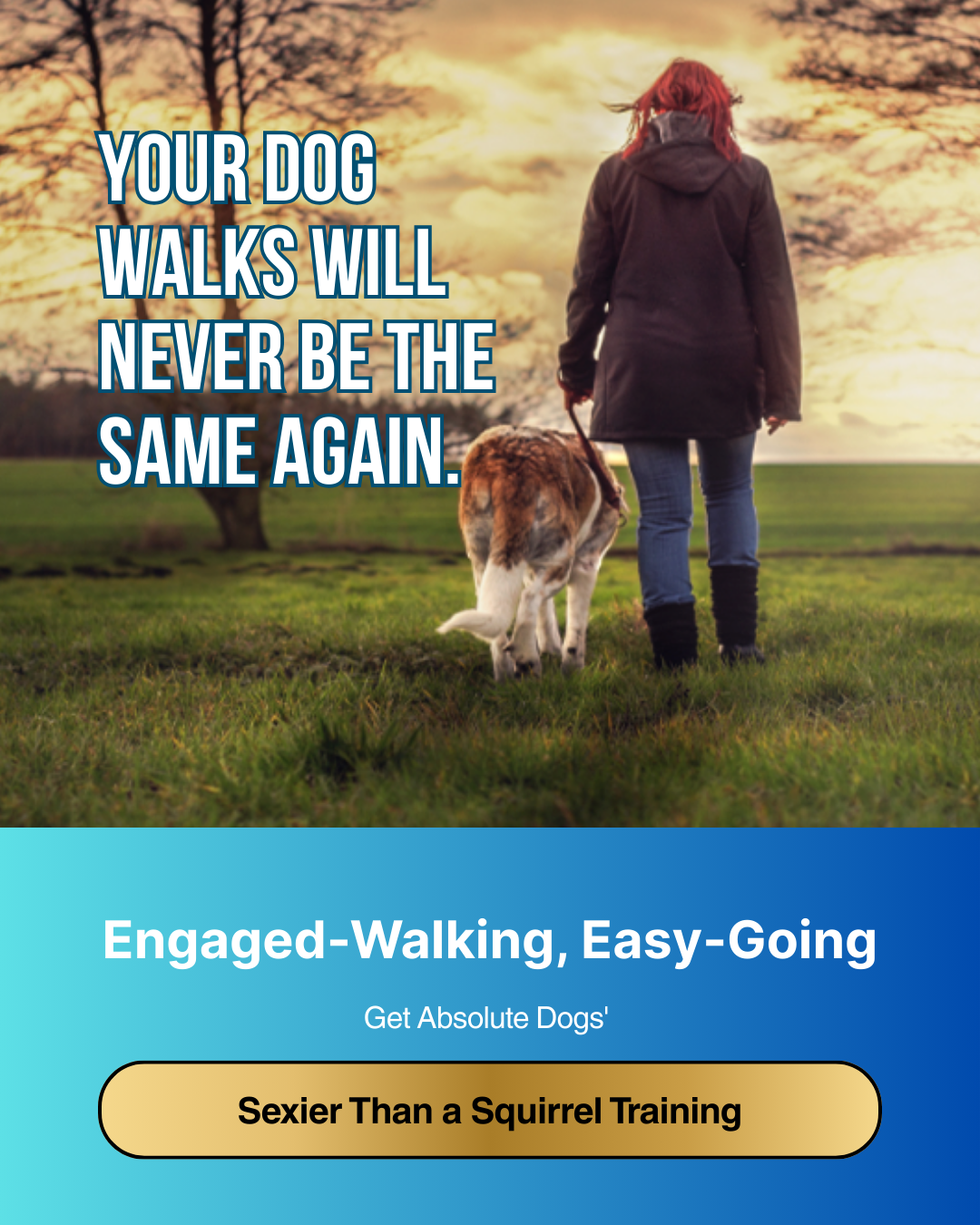 absoluteDOGS Facebook ad