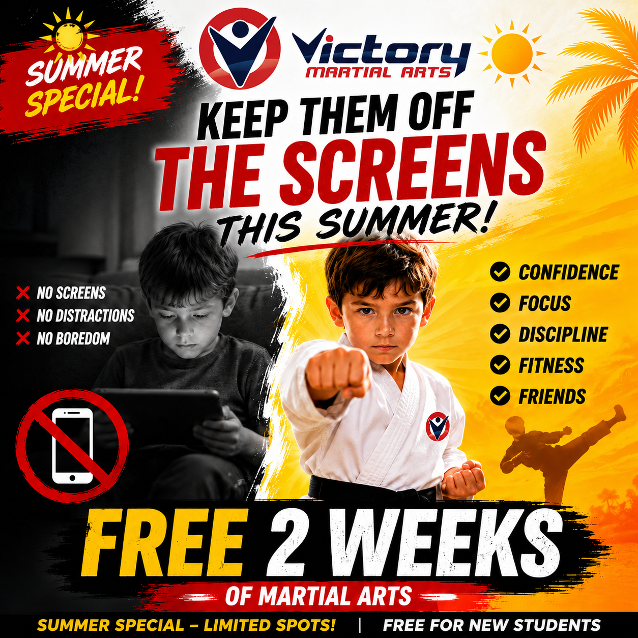 Victory Martial Arts Facebook ad: FREE 2-Week Summer Screen Detox Challenge