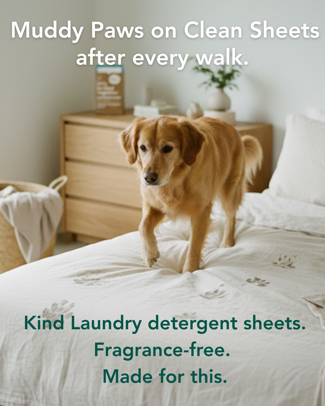 Kind Laundry Facebook ad