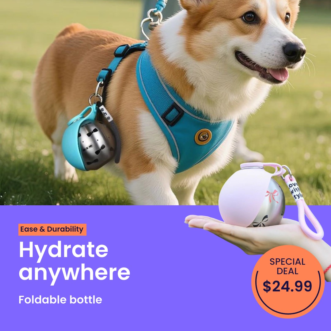 Zeely Marketplace Facebook ad
