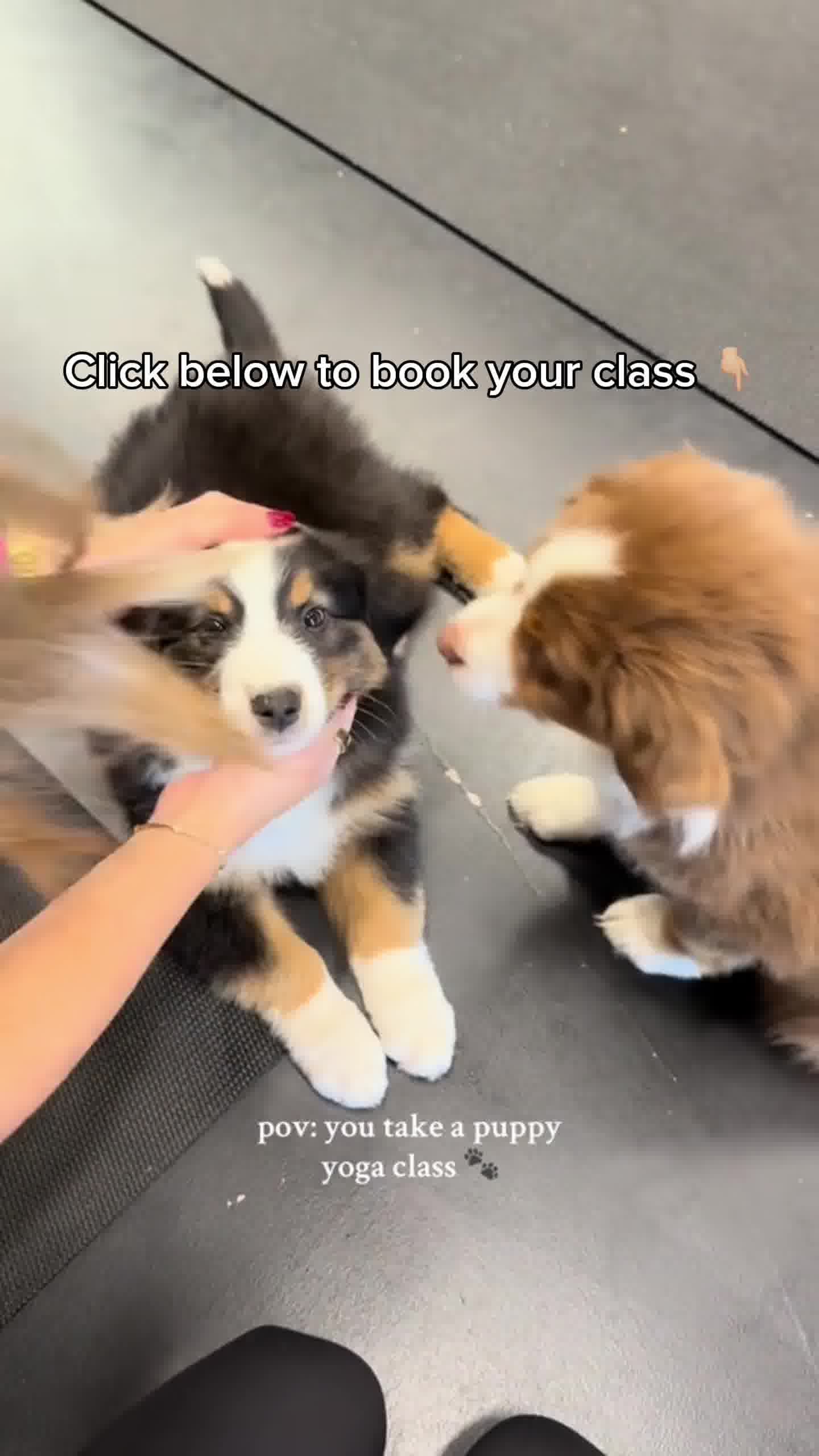 Puppies & Yoga Dallas Facebook ad: Book your class now!