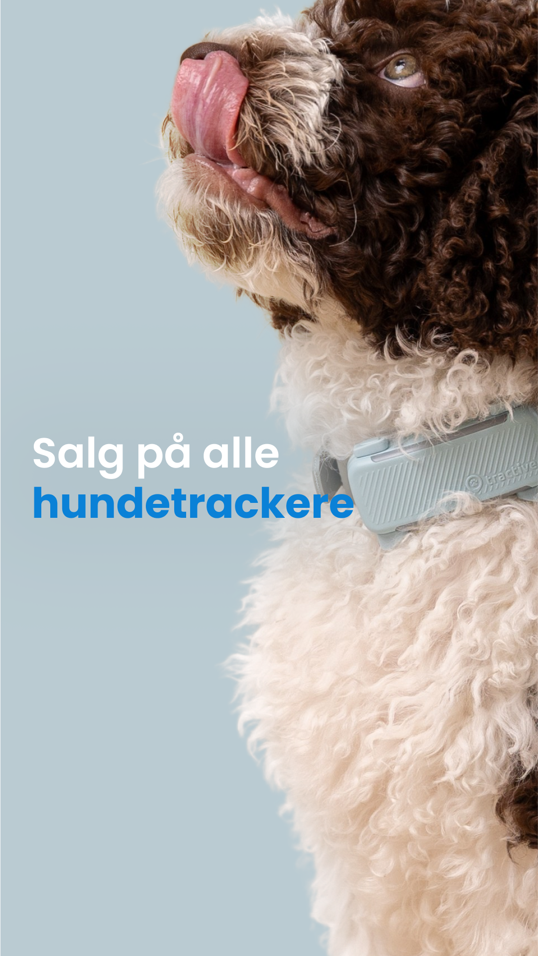 Tractive Facebook ad