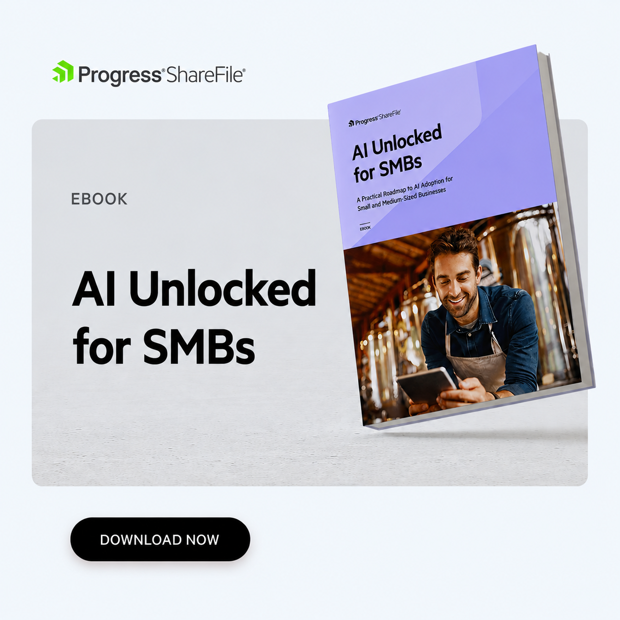 Progress ShareFile Facebook ad