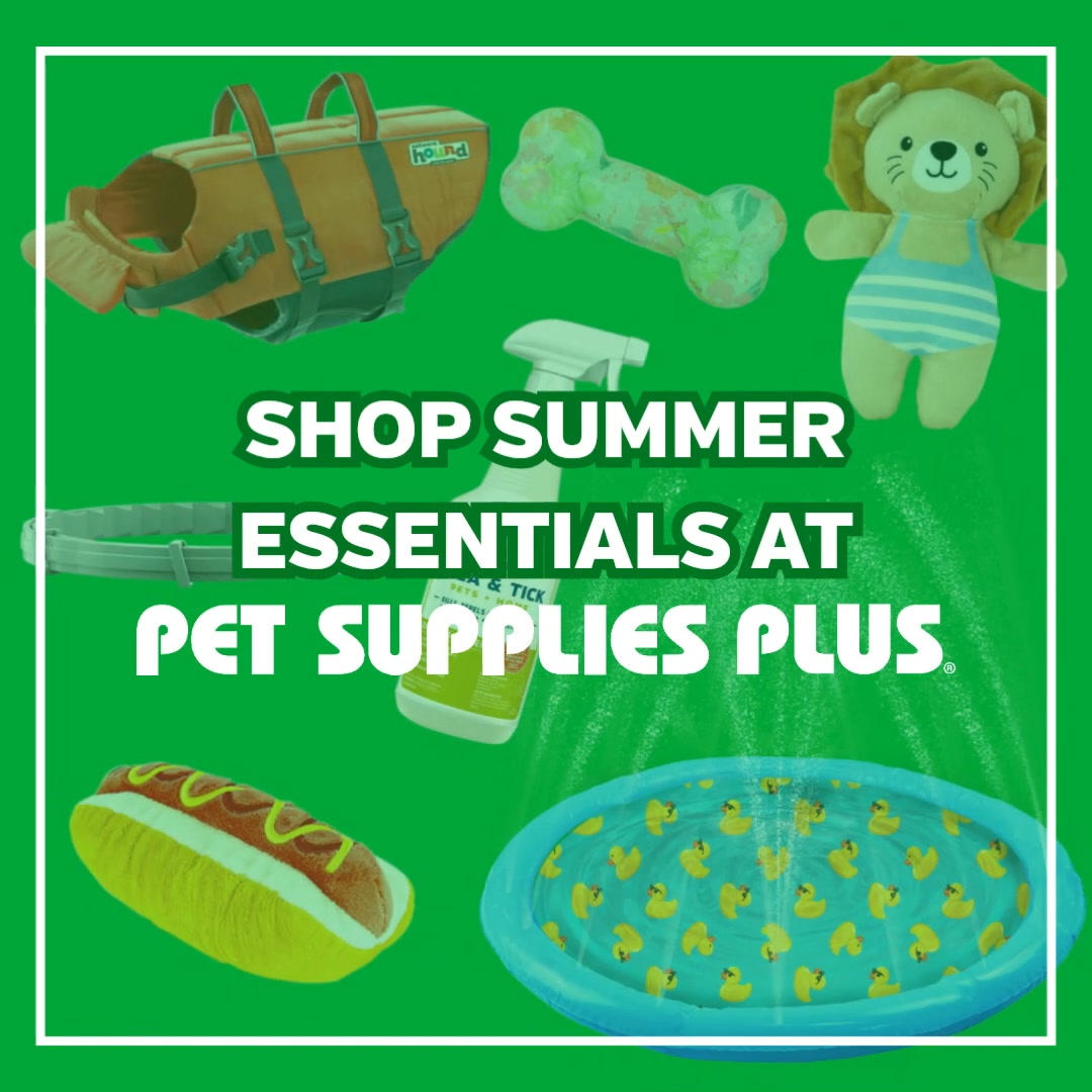 Pet Supplies Plus - Bay City, MI Facebook ad