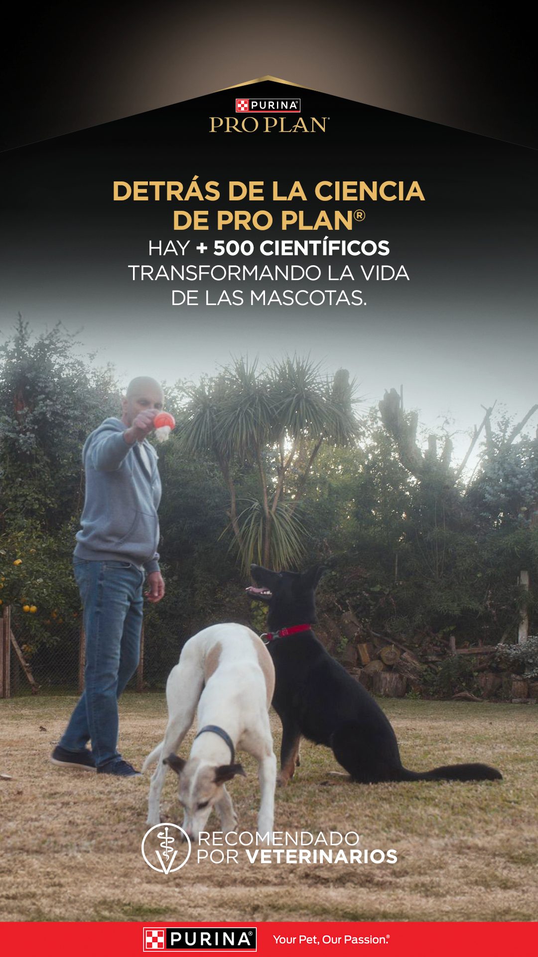 Purina Pro Plan Facebook ad