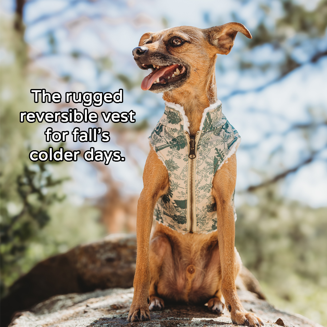 Lucy & Co. Facebook ad