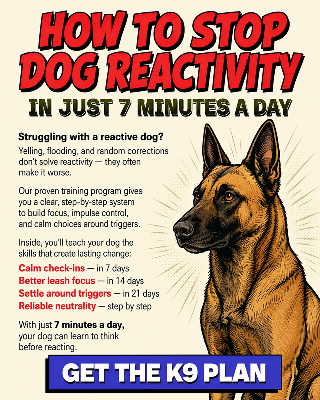 1st Dog Training Club Facebook ad