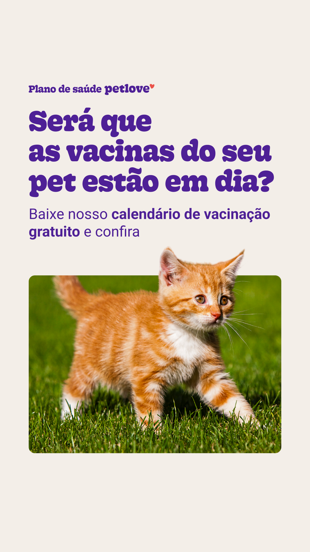 Petlove Facebook ad