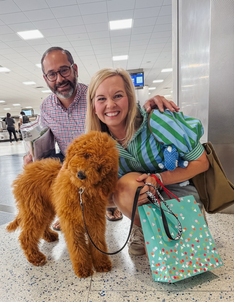 Smeraglia's Teddy Bear Goldendoodles & Schnoodles Facebook ad