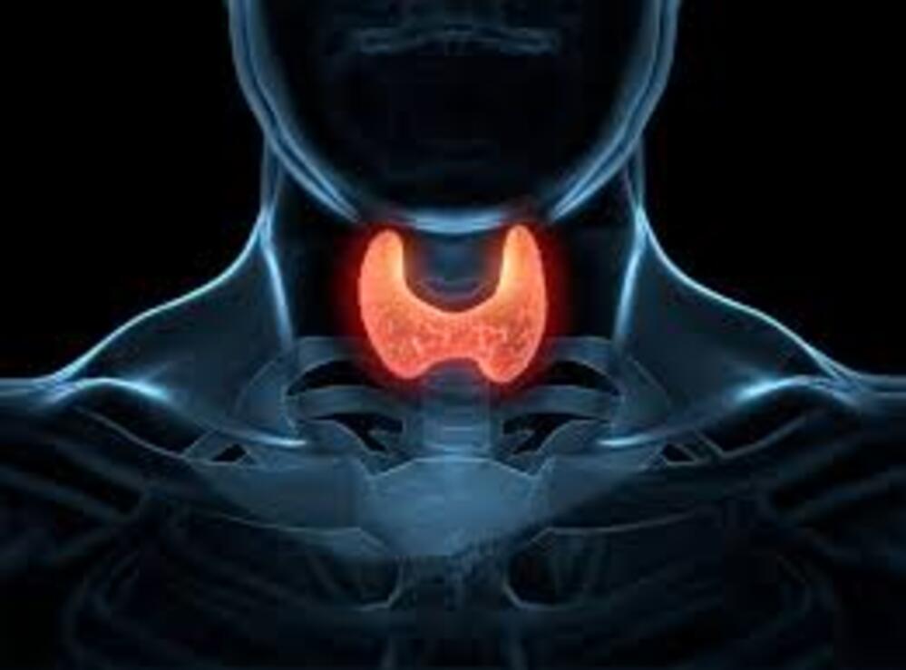 Endocrinologist - Dr. Patrick Garner Facebook ad: Reactivate your body.