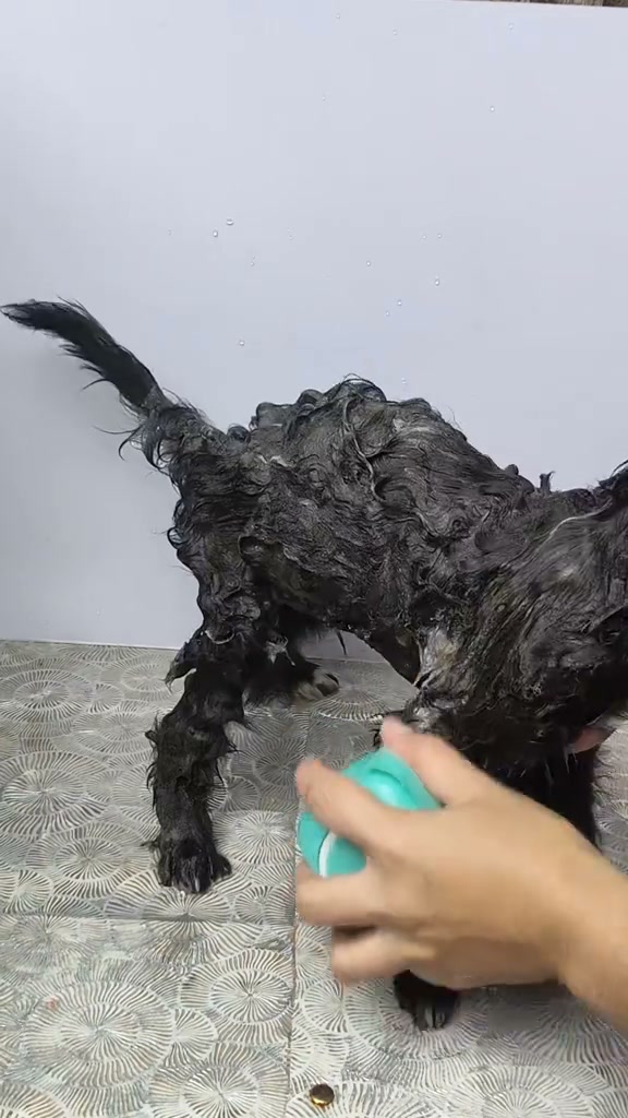Best Budol Finds Ph Facebook ad: Easy Pet Bath Time!