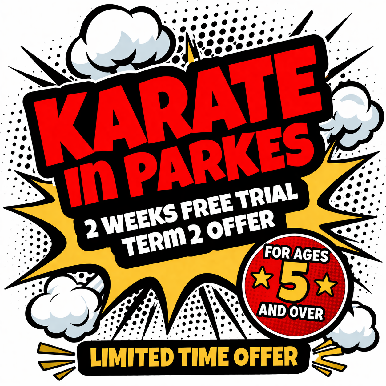 Kumiai Ryu Parkes Facebook ad: Try 2 FREE weeks of Kids Karate- Parkes