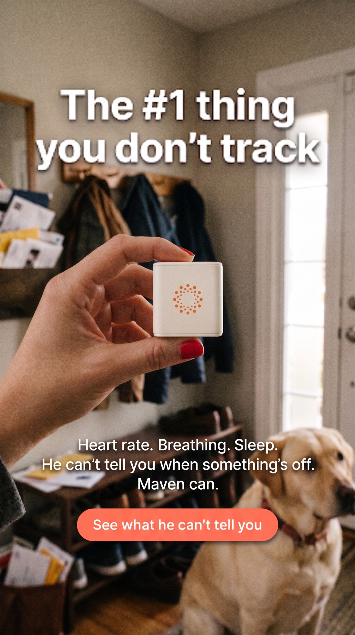 Maven Pet Facebook ad