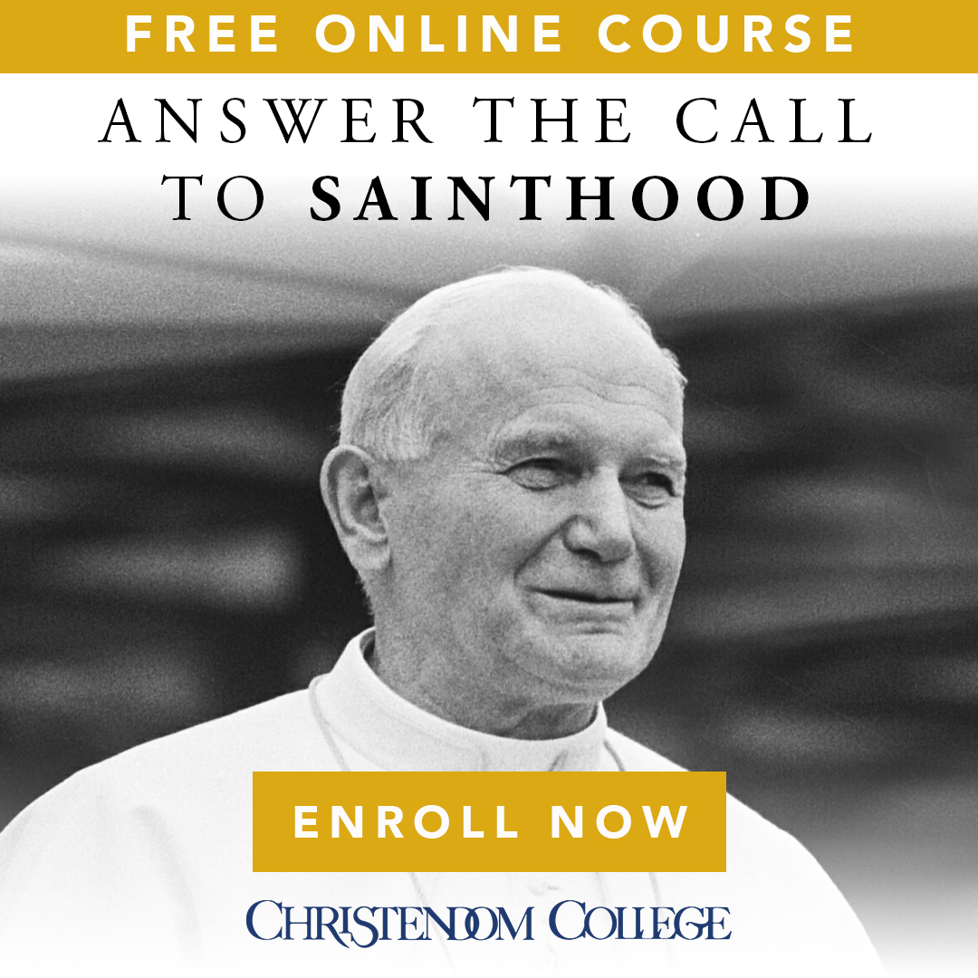 Christendom College Facebook ad: NEW FREE COURSE