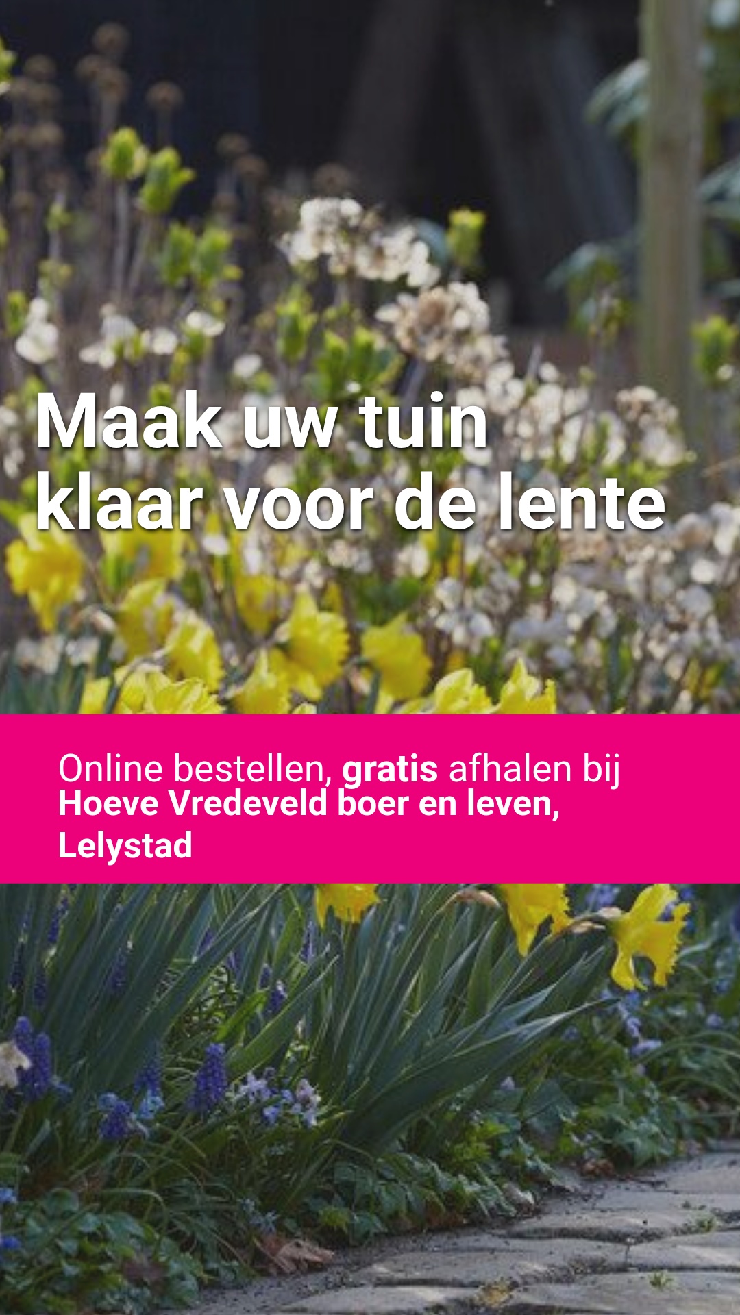Directplant Facebook ad