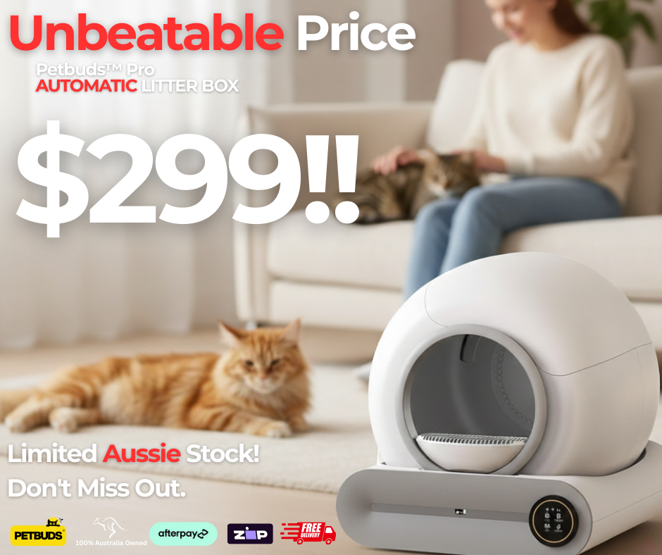 Petbuds Facebook ad