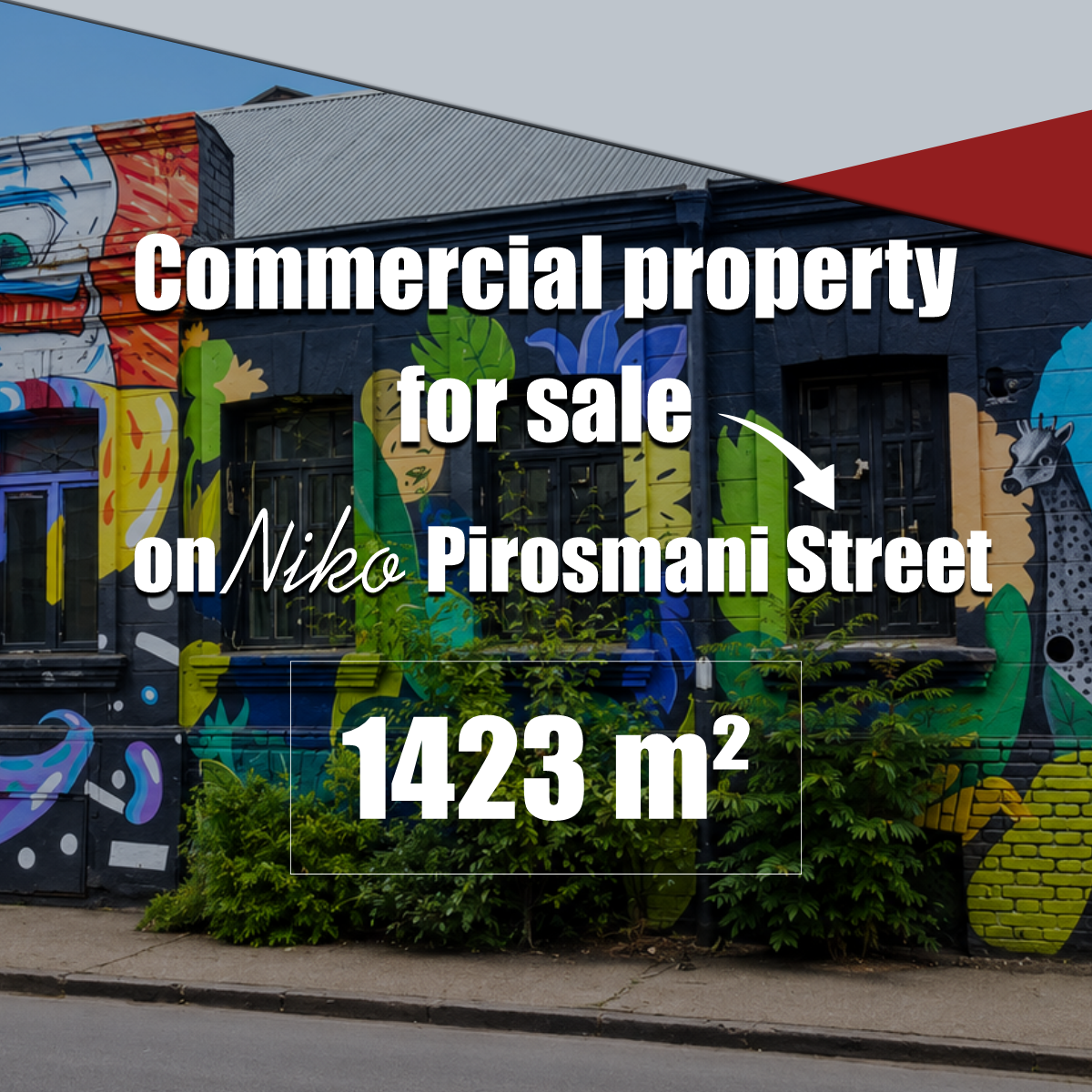 Smart Investment Facebook ad: Commercial Property for Sale on Niko Pirosmani Street