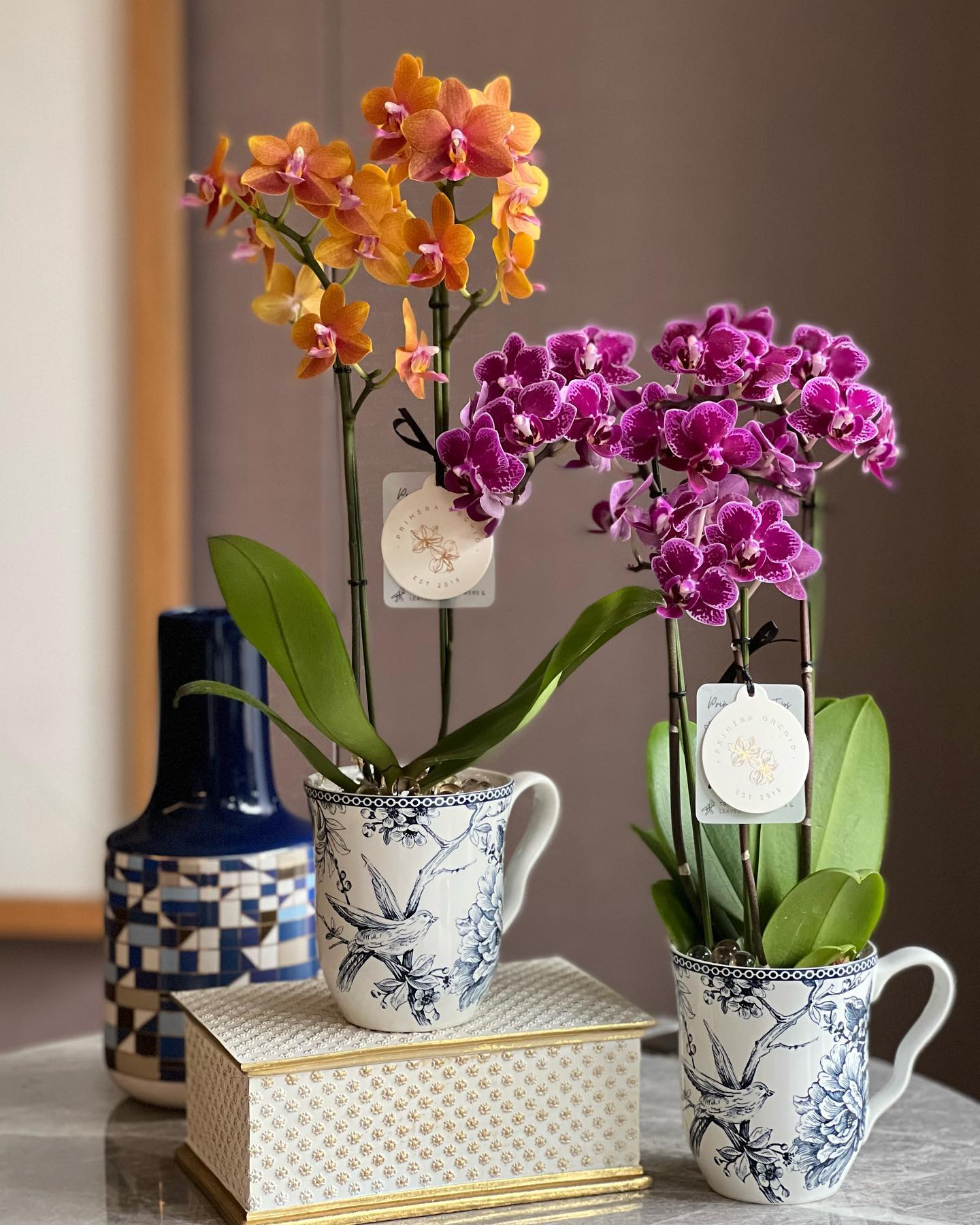 Premium Orchid - Priméra Facebook ad