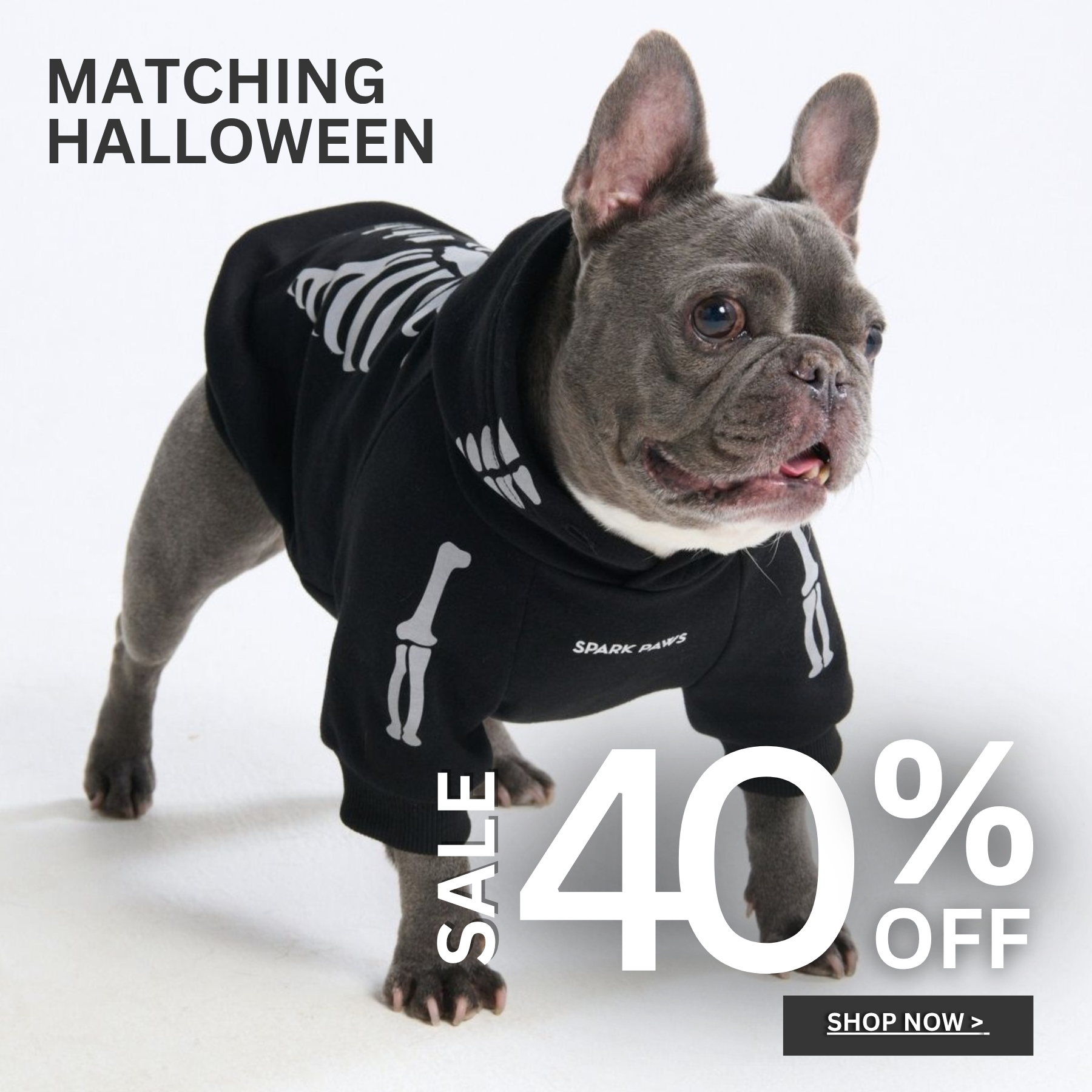 Spark Paws Facebook ad
